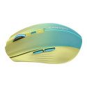 CANYON MW-44, 2 in 1 Wireless optical mouse with 8 buttons, DPI 800/1200/1600, 2 mode(BT/ 2.4GHz), 5