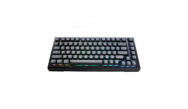 Ducky Tinker 75 keyboard Gaming USB US English Black