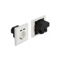 Delock Wall Socket with 2 x USB Type-A Charging Port 2.4 A