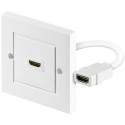 HDMI Wall Plate