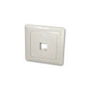 Face Plate for 1 keystone module