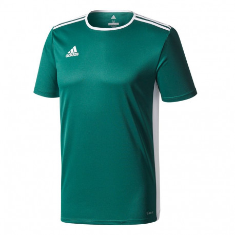 Adidas laste särk Entrada 18 Jersey JUNIOR CE9563 116cm, roheline