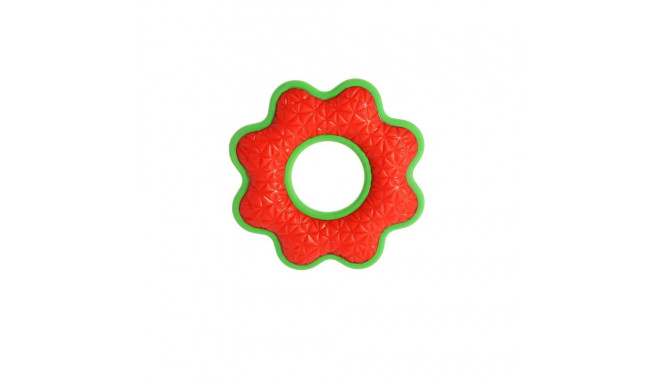 Koera mänguasi Dingo 17393 Punane Roheline Naturaalne kumm 16,5 cm (1 Tükid, osad)