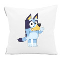 Подушка 3D Bluey Белый 30 x 30 cm Квадратный