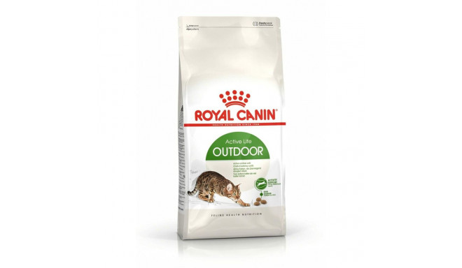 Kaķu barība Royal Canin Active Life Outdoor Pieaugušais Putni 4 Kg