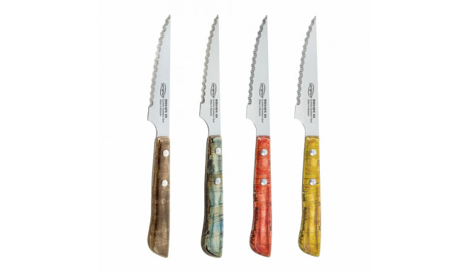 Meat Knife Set San Ignacio Evergreen BGEU-6076 Multicolour Stainless steel (4 Units)