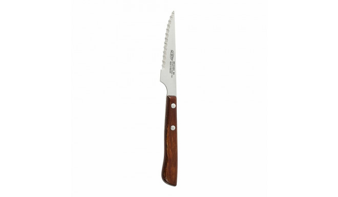 Нож для мяса San Ignacio Alcaraz BGEU-2651 Нержавеющая сталь 11 cm