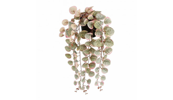 Dekoratiivne Taim Mica Decorations Ceropegia Woodii 10 x 46 x 12 cm Kunstlik Riputamiseks