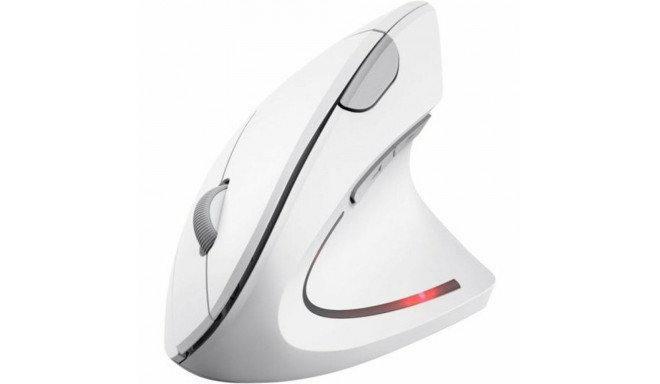 Mouse Trust 25132 White