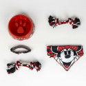 Welcome Gift Set for Dogs Minnie Mouse Красный 5 Предметы