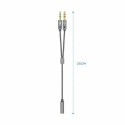3.5 mm Mono või Stereo Pistiku Adapter Aisens A128-0417