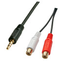 0.25m AV Adapter Cable - 3.5mm Male to 2 x RCA Female