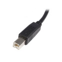 USB A - USB B Kaabel Startech USB2HAB2M            Must