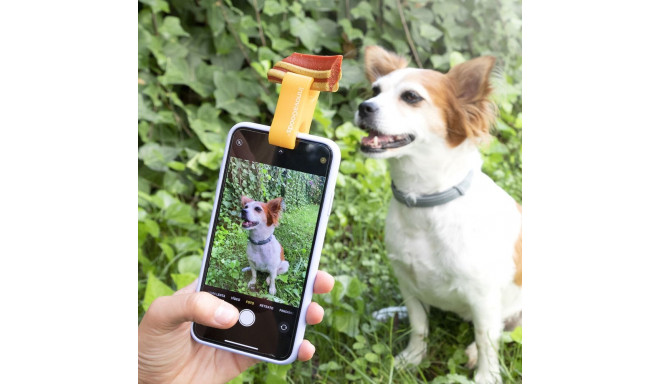 Selfie Clip for Pets Pefie InnovaGoods