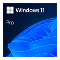 Windows 11 Professional 64Bit English Intl 1pk DSP OEI DVD