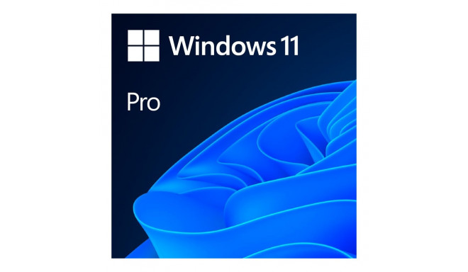 Windows 11 Professional 64Bit English Intl 1pk DSP OEI DVD