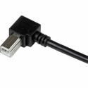 USB A to USB B Cable Startech USBAB1MR             Black