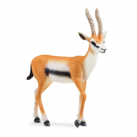 SCHLEICH WILD LIFE Thomsoni gasell