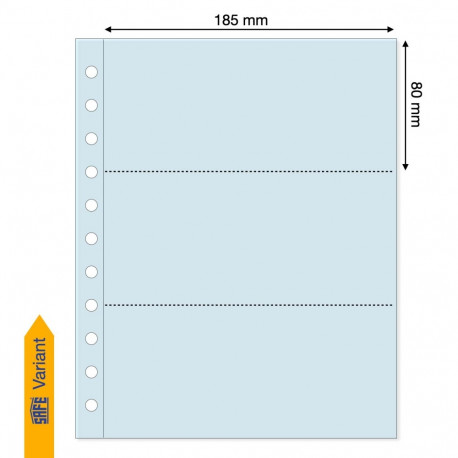 SAFE Variant Three Pocket Page 563