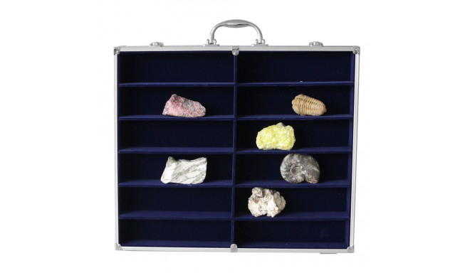 SAFE Display Case Maxi 12 compartments