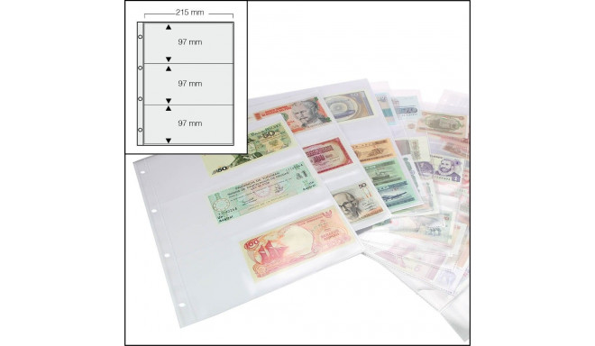 SAFE Compact A4 vaheleht 3-taskuga