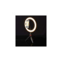 Nedis RLSTND100BK lighting ring 120 LED