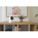 EZVIZ C6N Dome IP security camera Indoor 1920 x 1080 pixels Desk