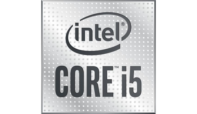 Intel protsessor Core i5-10600K 4.1GHz 12MB Smart Cache Box