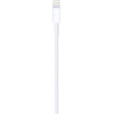 Apple cable Lightning - USB 1m