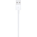 Apple cable Lightning - USB 1m