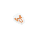 BESTWAY NOSE CLIP AND EAR PLUGS SET