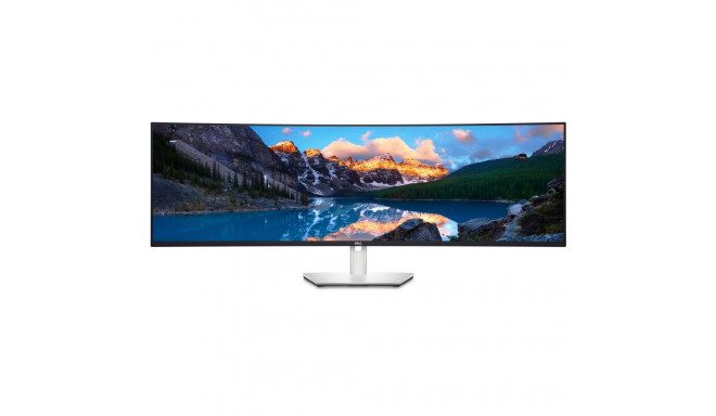 Dell UltraSharp U4924DW, LED monitor - 49 - silver/black, 5K Dual QHD, IPS, Curved, DisplayPort, HDM