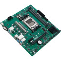 ASUS PRO A620M-DASH-CSM - Socket AM5 - motherboard