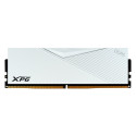 ADATA DDR5 - 64GB - 6000 - CL - 30 (2x 32 GB) dual kit, RAM (white, AX5U6000C3032G-DCLAWH, Lancer, I