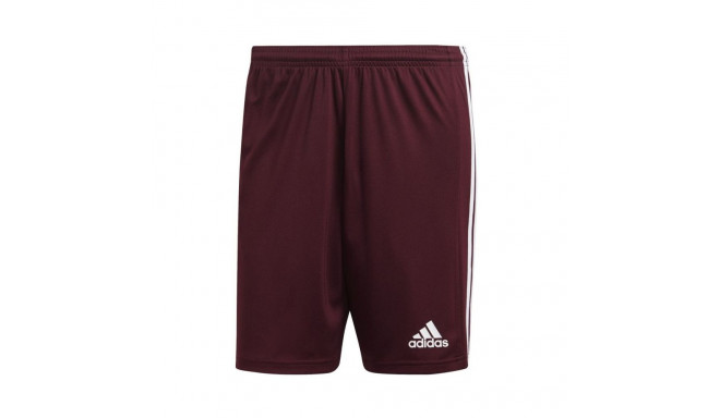 Adidas Squadra 21 Short M GN8083 (XL)