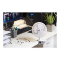 Adler | Fan with clip | AD 7317 | Table Fan | White | Diameter 15 cm | Number of speeds 2 | 30 W | N