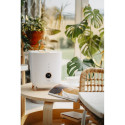 Adler | AD 7972 | Humidifier | 23 W | Water tank capacity 4 L | Suitable for rooms up to 35 m² | Ult