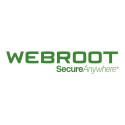 Webroot | DNS Protection with GSM Console | 2 year(s) | License quantity 10-99 user(s)