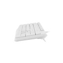 Natec | Keyboard | Nautilus NKL-1951 | Keyboard | Wired | US | White | USB Type-A | 390 g