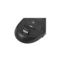 Natec | Keyboard and Mouse | Stringray 2in1 Bundle | Keyboard and Mouse Set | Wireless | Batteries i