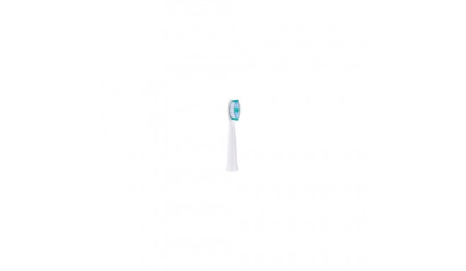 Panasonic | Toothbrush replacement | WEW0974W503 | Heads | For adults | Number of brush heads includ