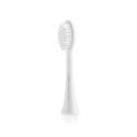 ETA | RegularClean ETA070790200 | Toothbrush replacement | Heads | For adults | Number of brush head