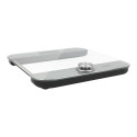 Caso | Body Energy Ecostyle personal scale | 3416 | Maximum weight (capacity) 180 kg | Accuracy 100 