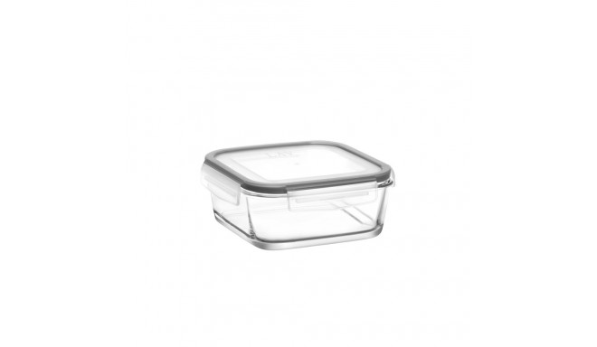 1150 CC FOOD CONTAINER WITH LOCKED LID