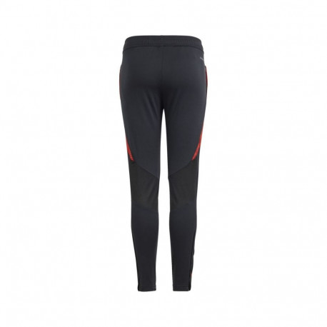 Adidas Tiro 24 Competition Training Jr IS1638 pants (176cm)