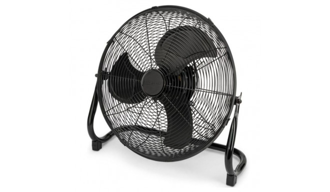 Air circulator Proficare, black