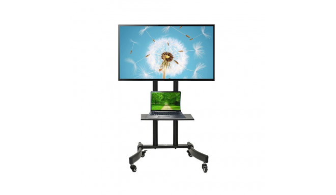 TV ratastega alus Maclean, professionaalne, max 32-65", max 40kg, MC-739