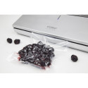 Caso | GourmetVAC 480 | Bar Vacuum sealer | Power 160 W | Silver