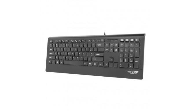 Natec Keyboard, Barracuda, US Layout, Slim | Natec | Keyboard | Barracuda | Standard | Wired | US | 