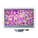 Levenhuk D85L LCD Digital Microscope